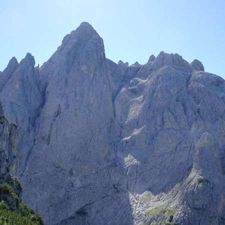 Sagron Mis B&B Dolomia المظهر الخارجي الصورة