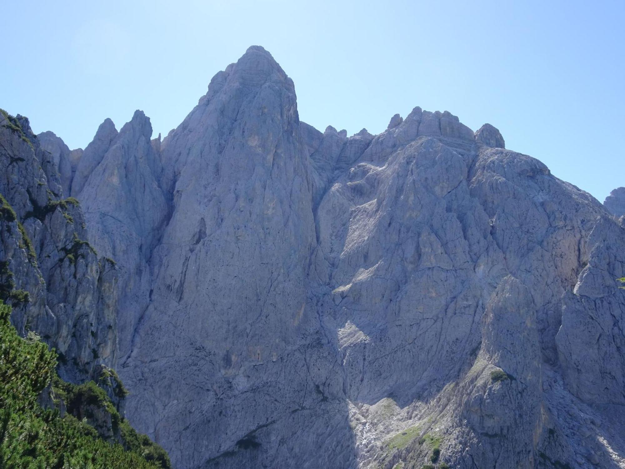 Sagron Mis B&B Dolomia المظهر الخارجي الصورة