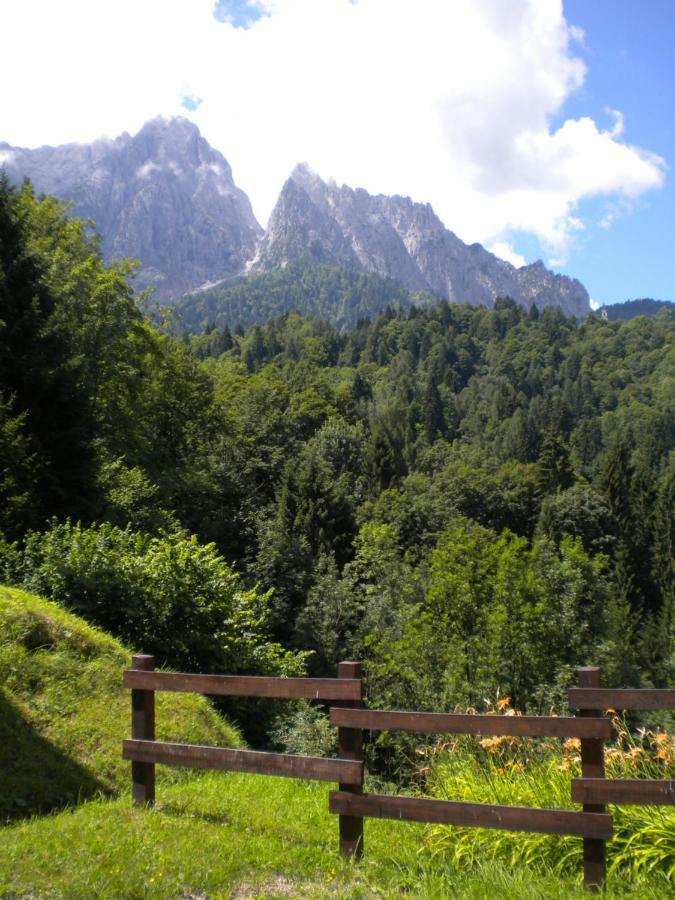 Sagron Mis B&B Dolomia المظهر الخارجي الصورة