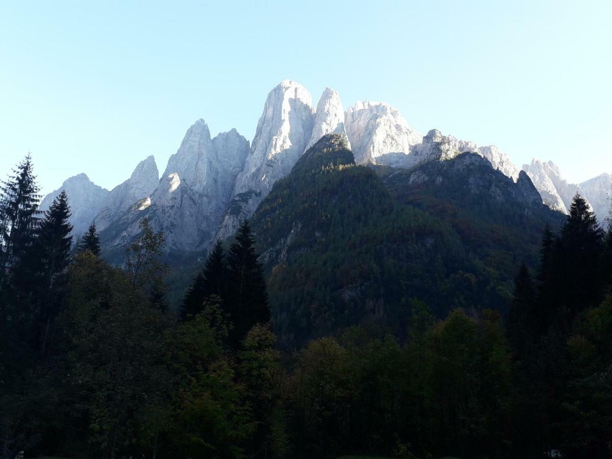 Sagron Mis B&B Dolomia المظهر الخارجي الصورة