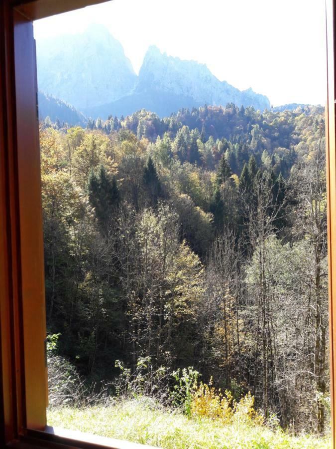 Sagron Mis B&B Dolomia المظهر الخارجي الصورة