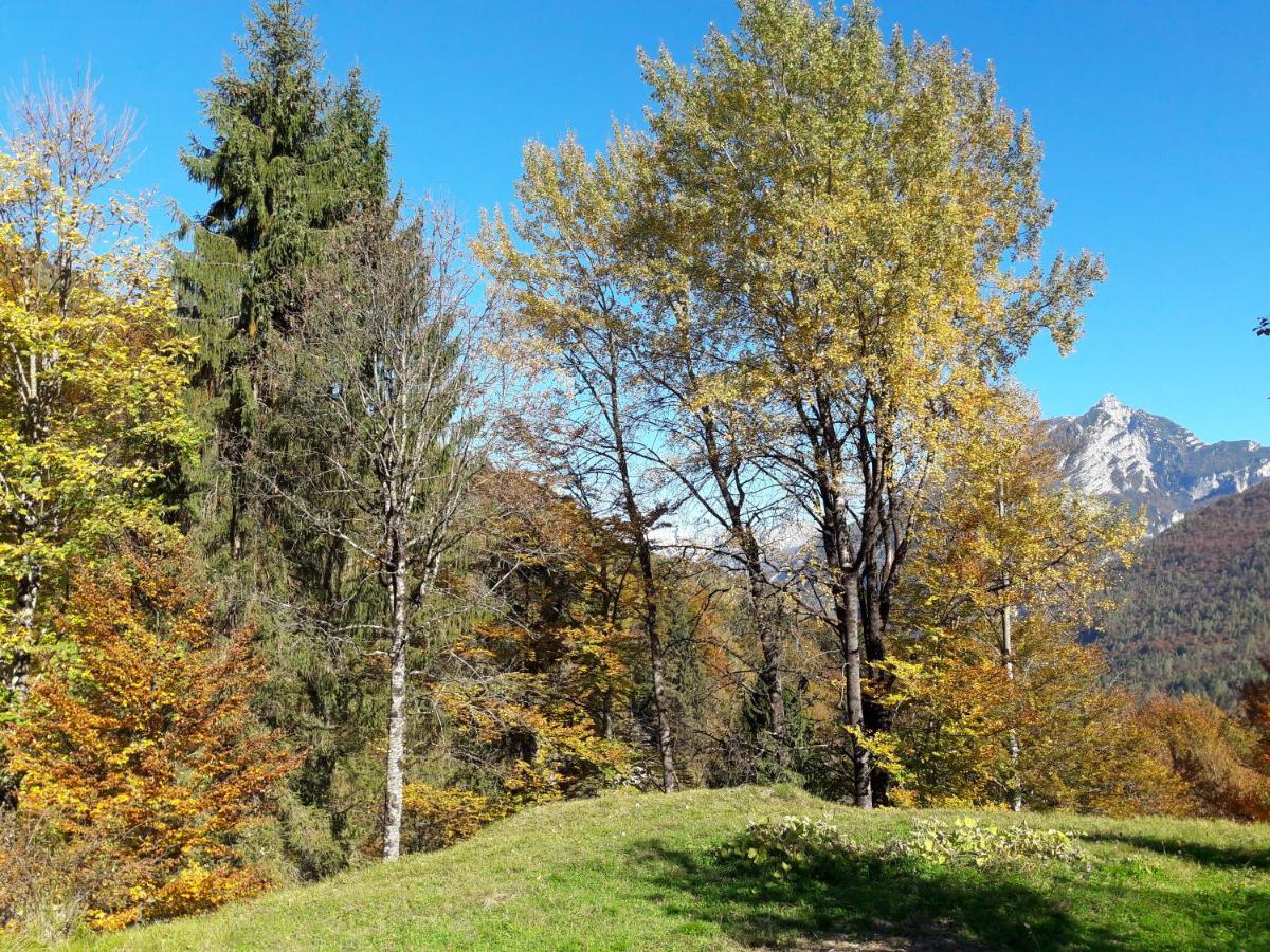 Sagron Mis B&B Dolomia المظهر الخارجي الصورة